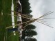 Thumbs/tn_Tohrn western event 044.jpg
